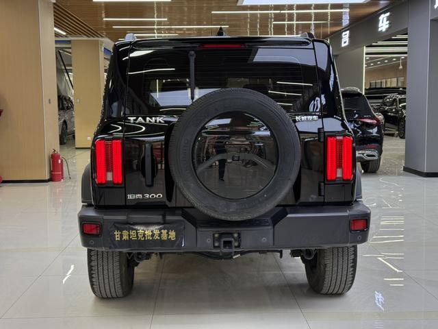 Tank 300 2022 #6 Tank 300 2022 صورة سيارة #6