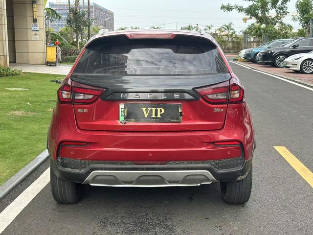 睿蓝汽车 枫叶30X 2020 汽车图片 #6