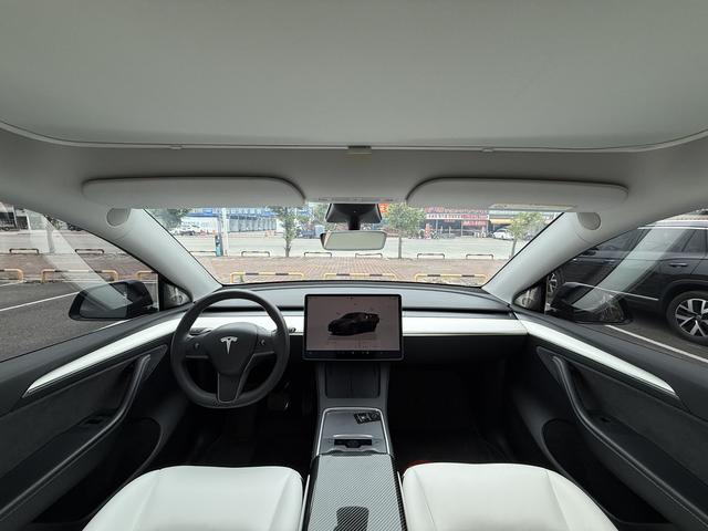 Tesla Model Y 2022 car image #6