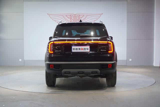 Haval X Dog / Dargo 2023 immagine di auto #6