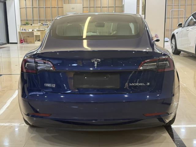 Tesla Model 3 2020 #6 Tesla Model 3 2020 car image #6