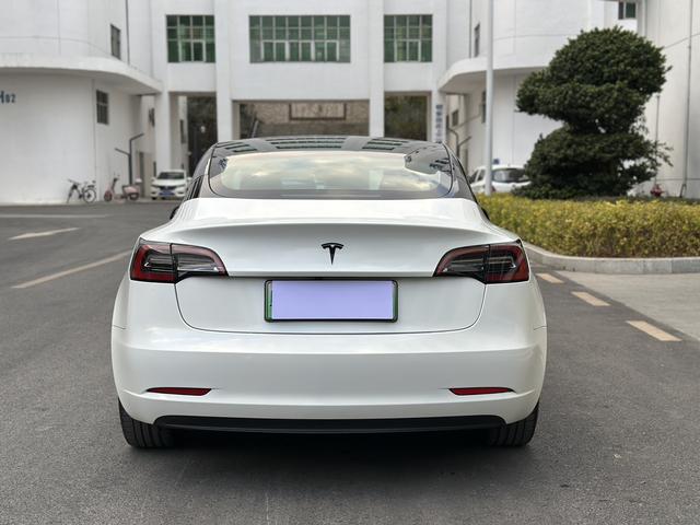 Tesla Model 3 2022 car image #6