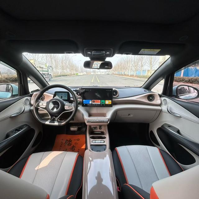 BYD Dolphin 2022 car image #6