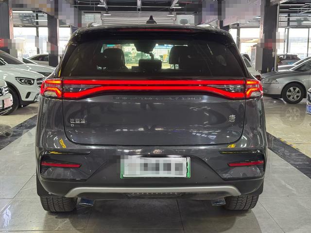 BYD Tang New Energy 2021 car image #6