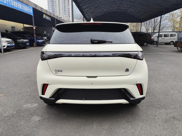 BYD Dolphin 2023 car image #6