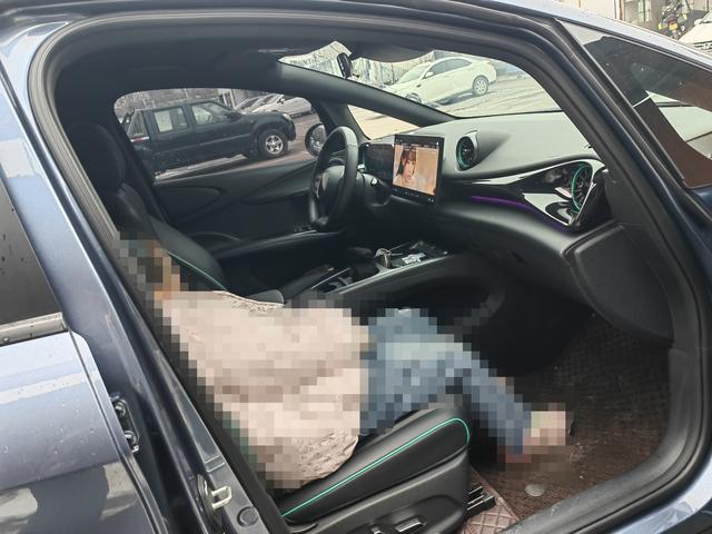BYD Dolphin 2025 car image #6