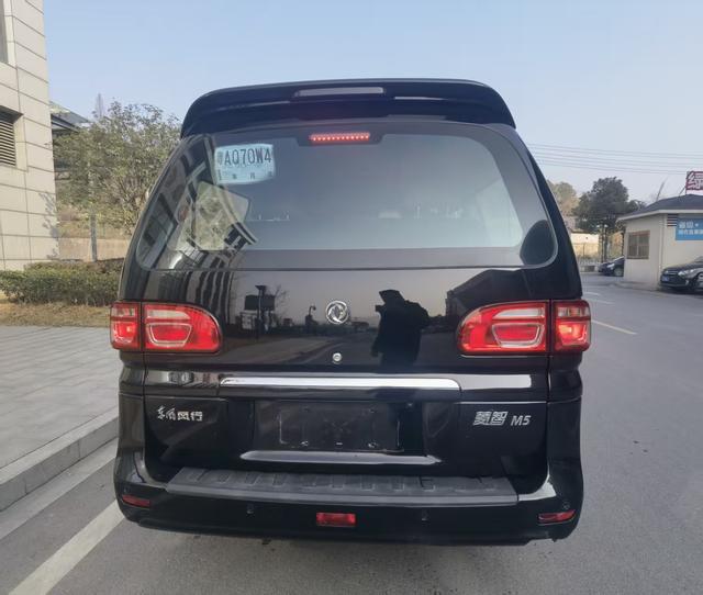 Forthing Lingzhi 2019 immagine di auto #6