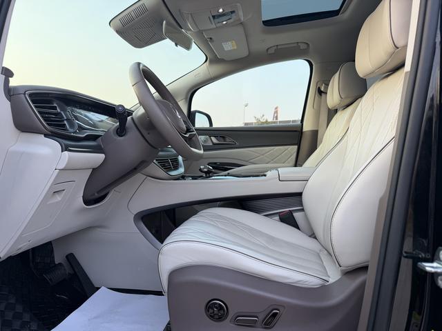 Denza D9 2023 imagem de carro #6