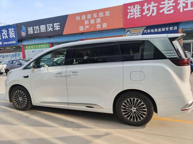 Denza D9 2024 изображение автомобиля #6