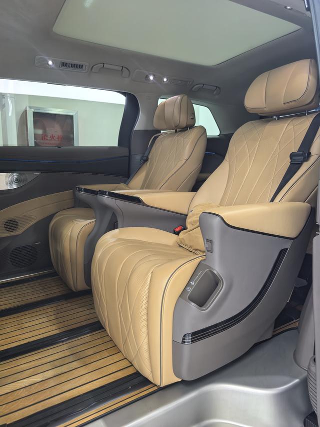 Denza D9 2023 imagen de coche #6