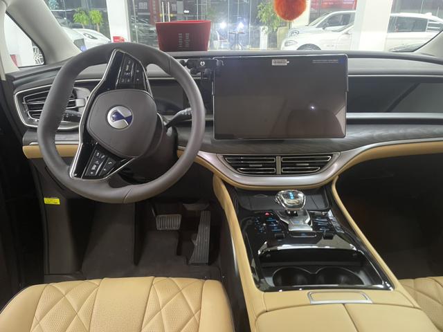 Denza D9 2025 imagem de carro #6