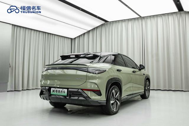 BYD Sea Lion 07 EV 2024 car image #6