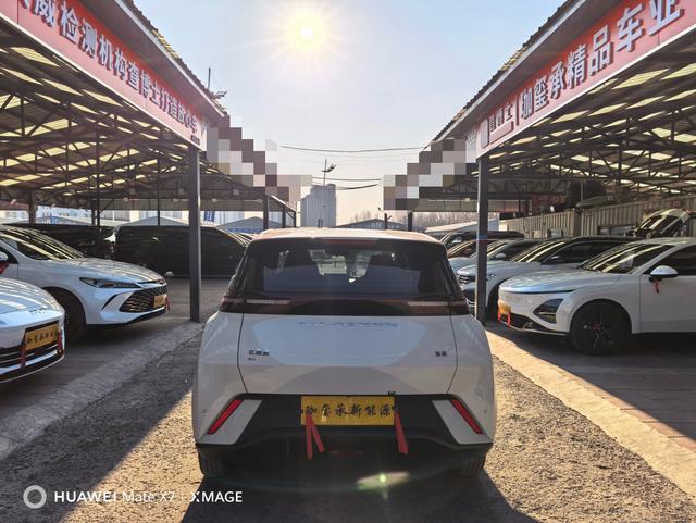 BYD Seagull 2024 immagine di auto #6