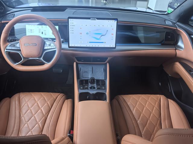 BYD Sea Lion 07 EV 2025 car image #6