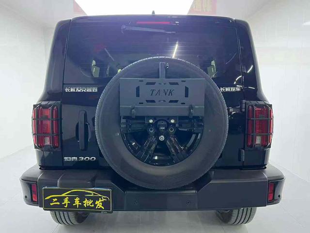 Tank 300 2024 immagine di auto #6