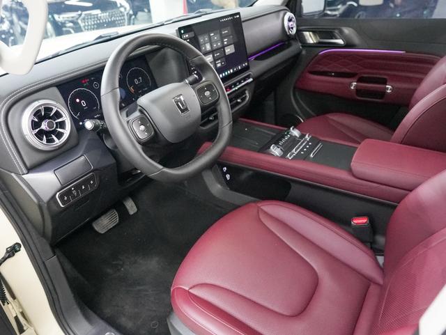 Tank 300 2025 immagine di auto #6