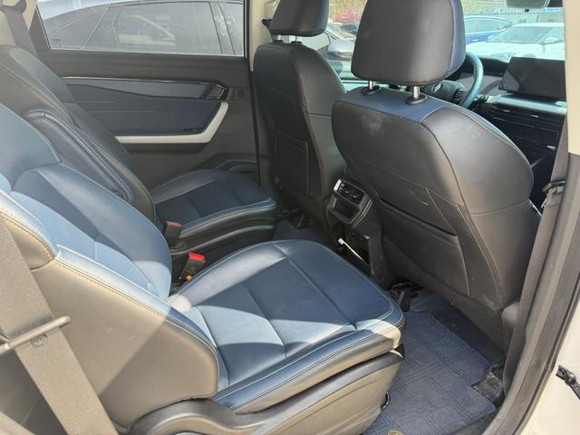 睿蓝汽车 睿蓝9 2024 汽车图片 #6