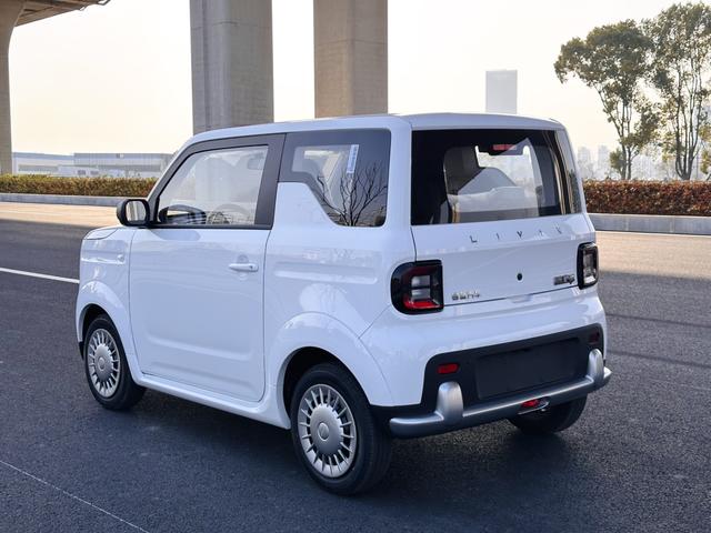 睿蓝汽车 睿蓝蓝精灵 2026 汽车图片 #6