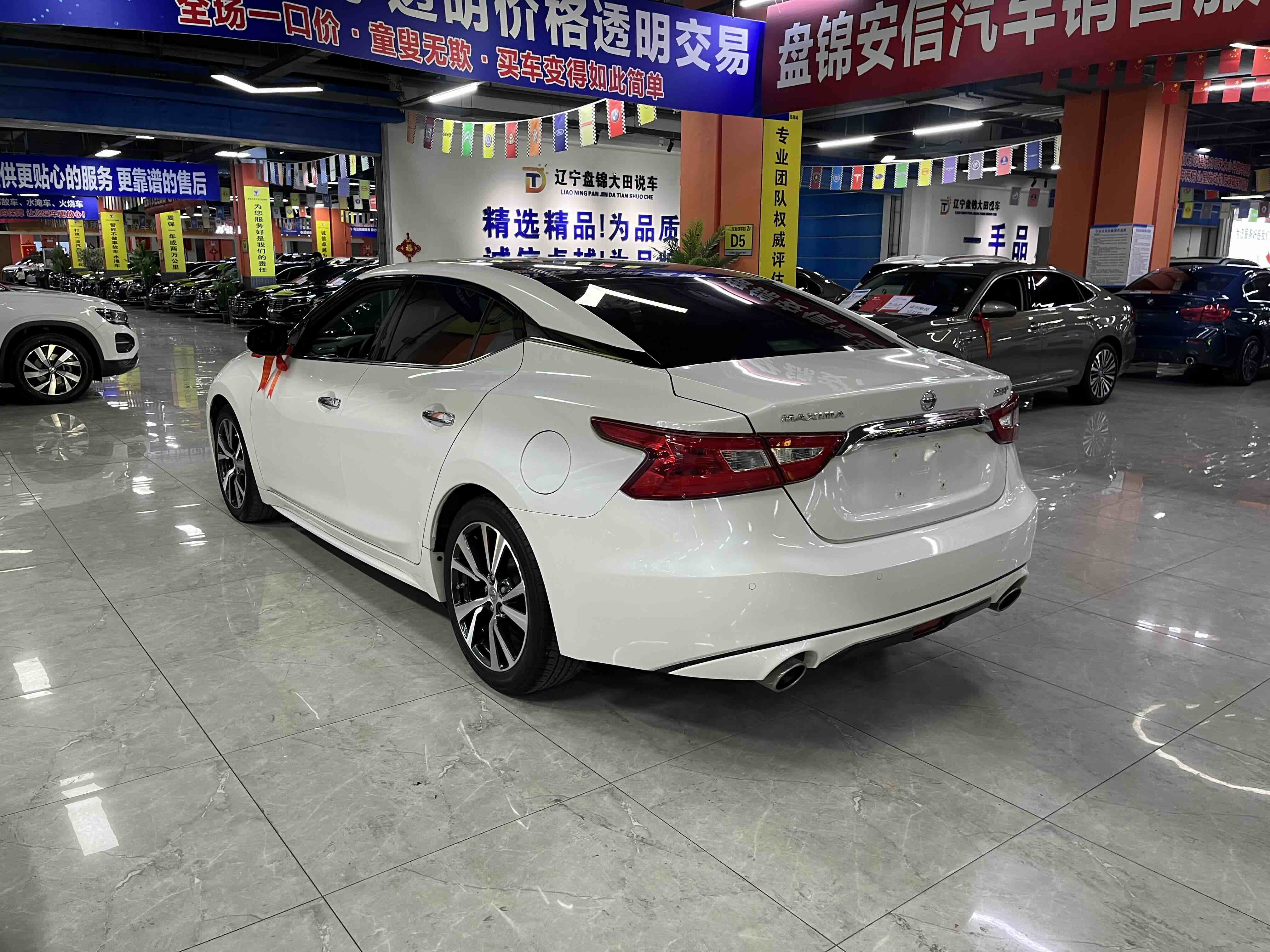 Nissan Maxima 2018 car image #6