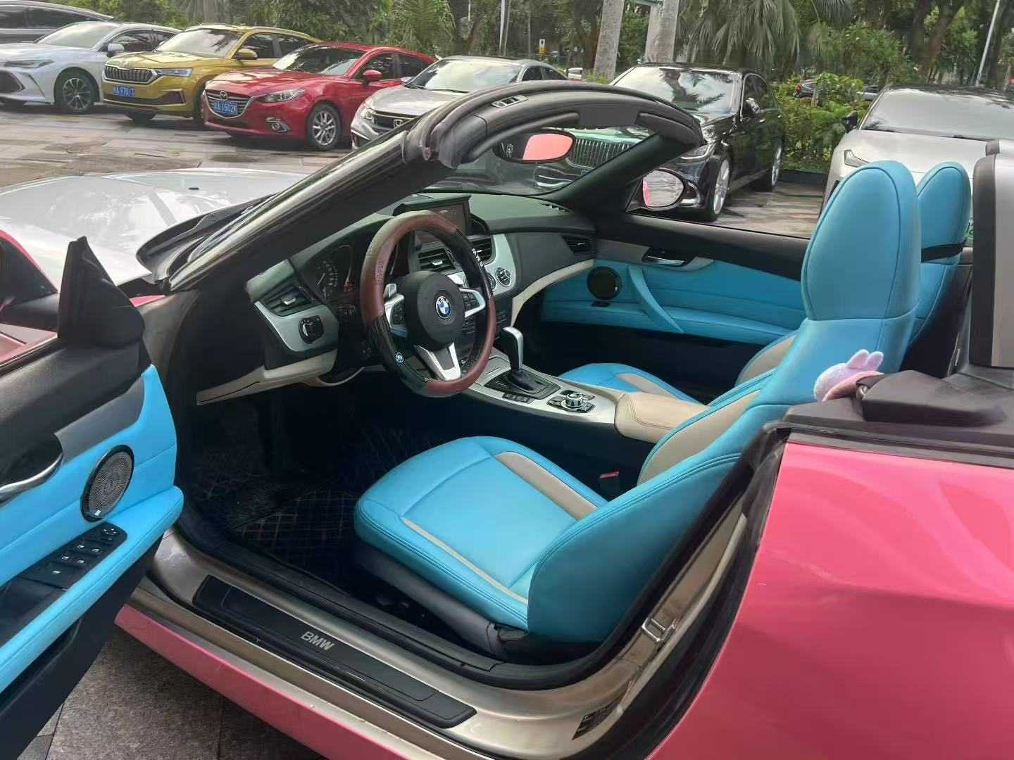 BMW Z4 M40i 2010 #6 BMW Z4 M40i 2010 immagine di auto #6