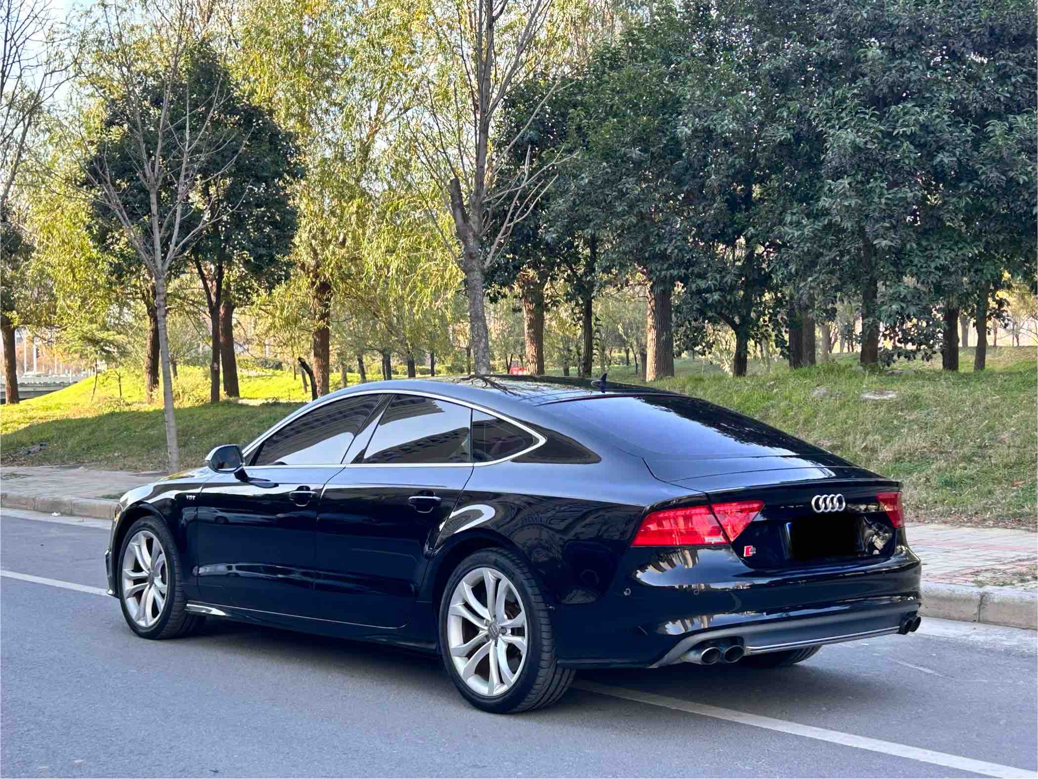 Audi S7 2015 immagine di auto #6