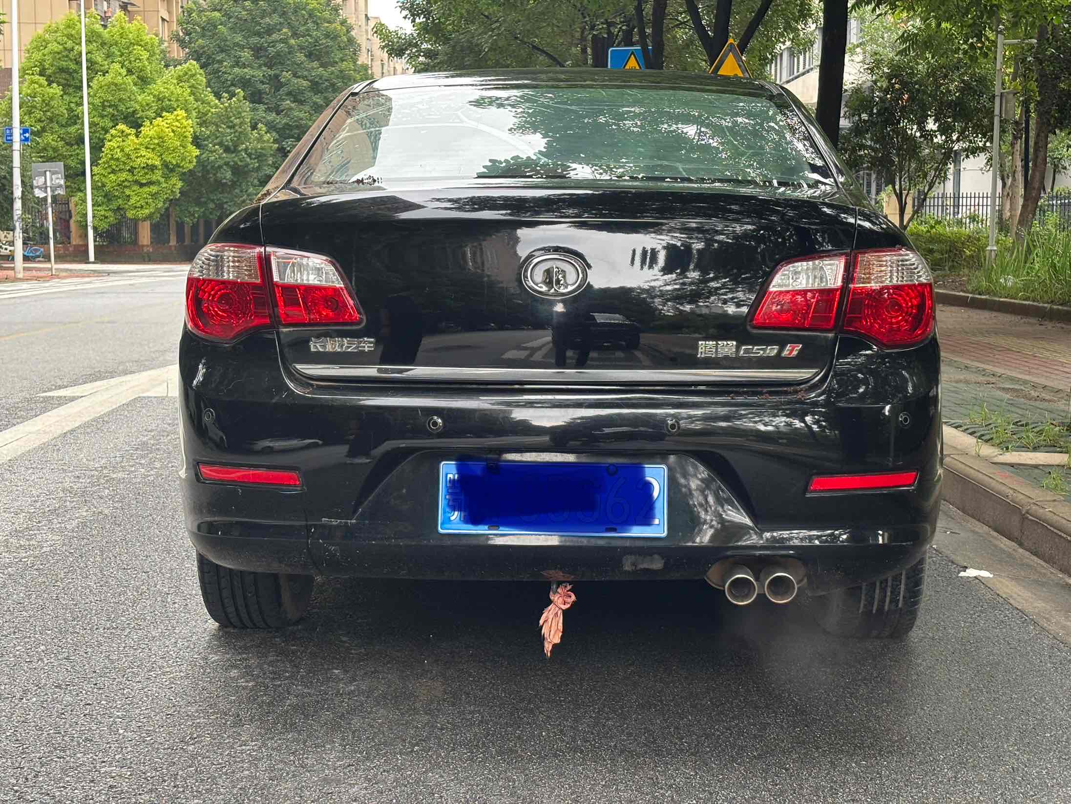 Great Wall C50 2013 imagen de coche #6