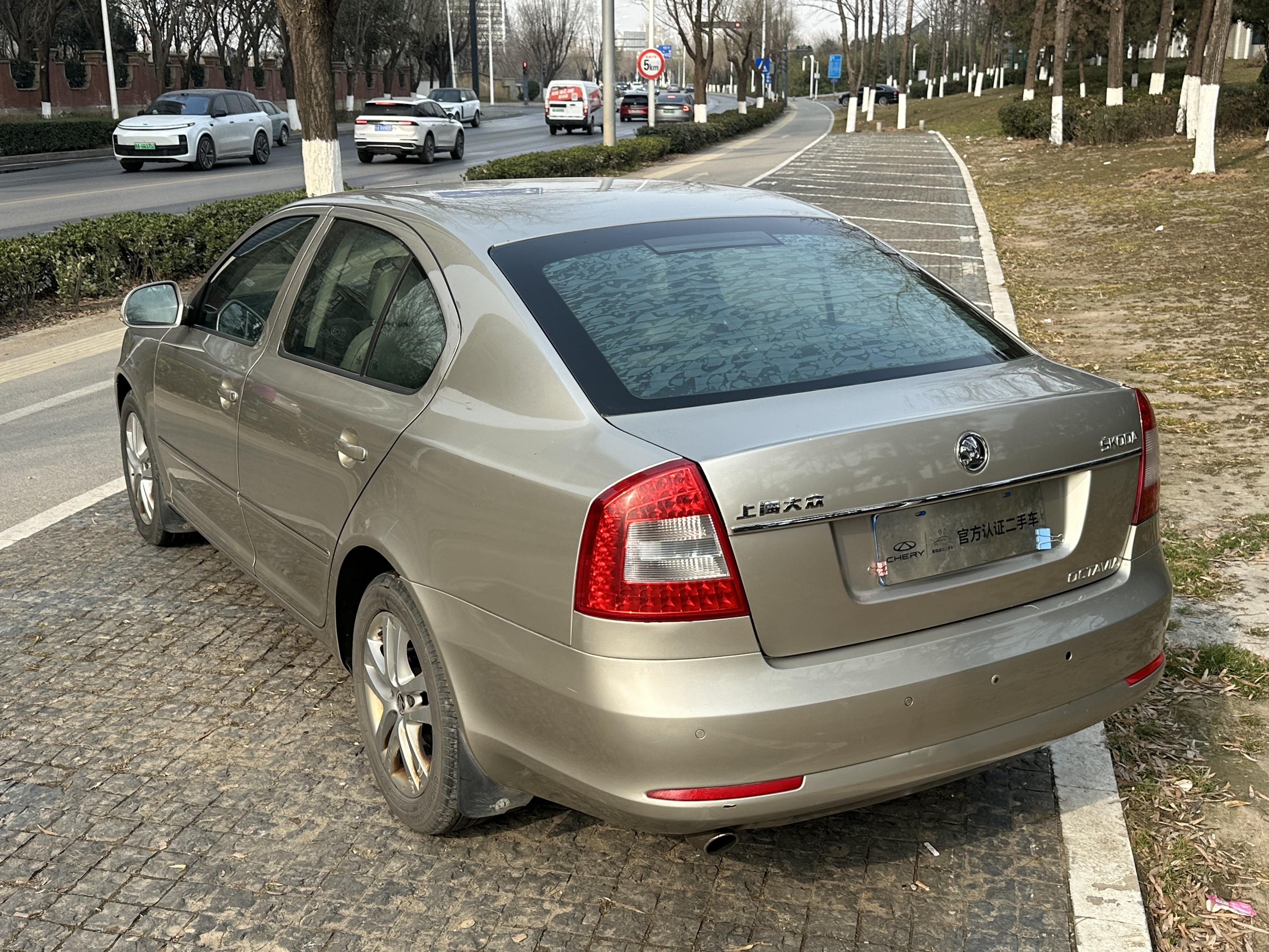 Skoda Octavia 2013 car image #6