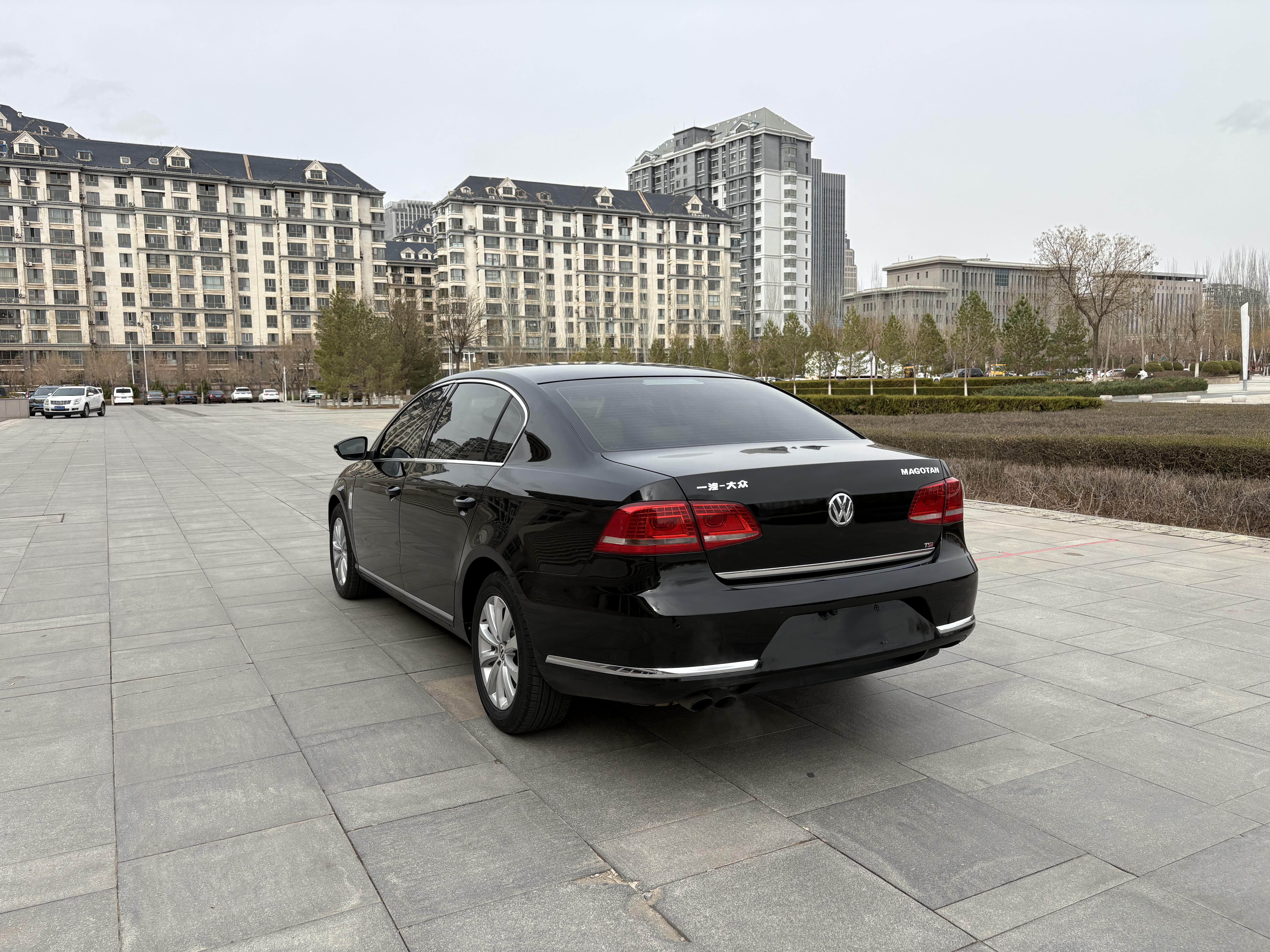 Volkswagen Magotan 2014 imagen de coche #6