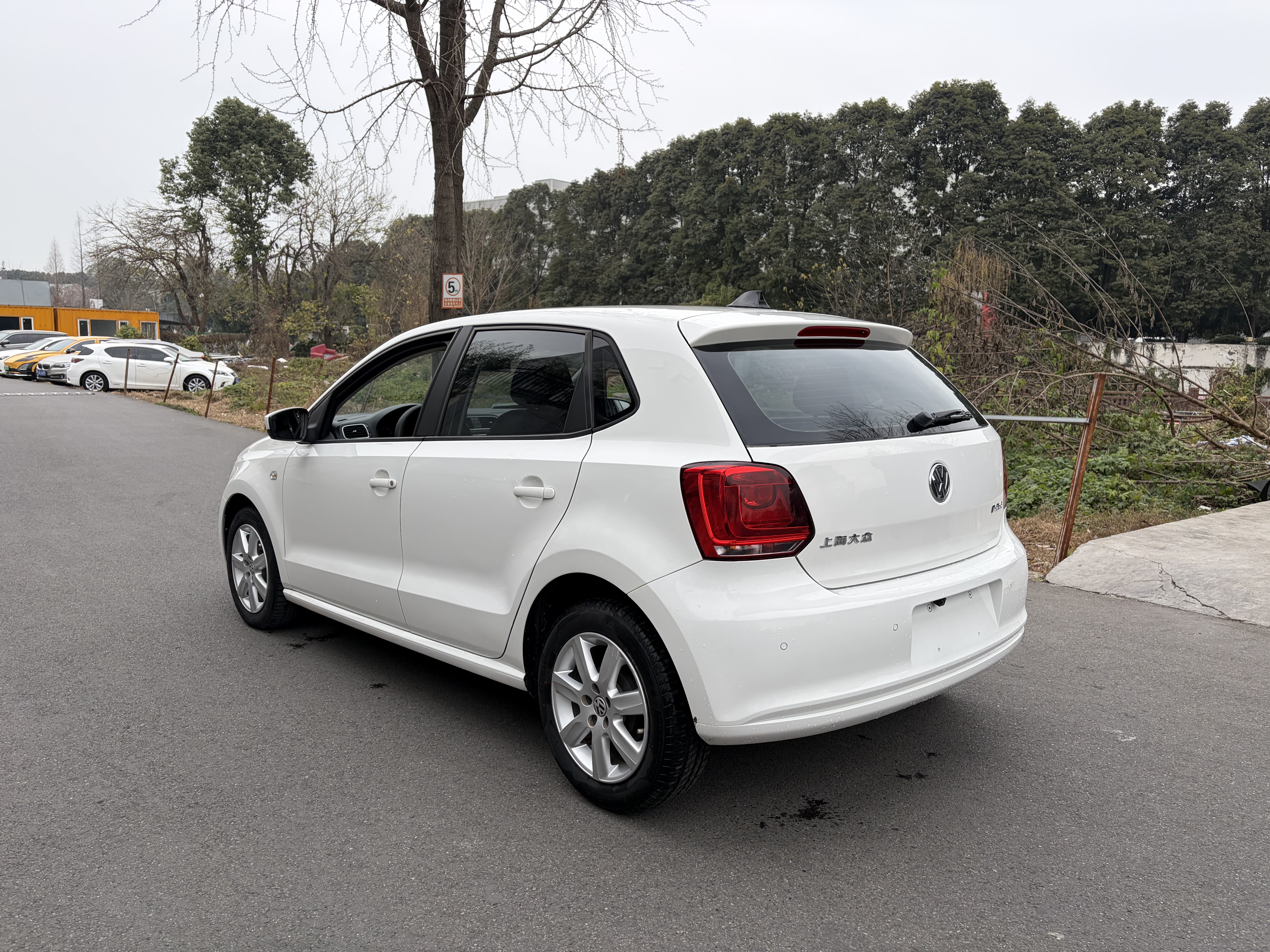 Volkswagen Polo 2014 car image #6
