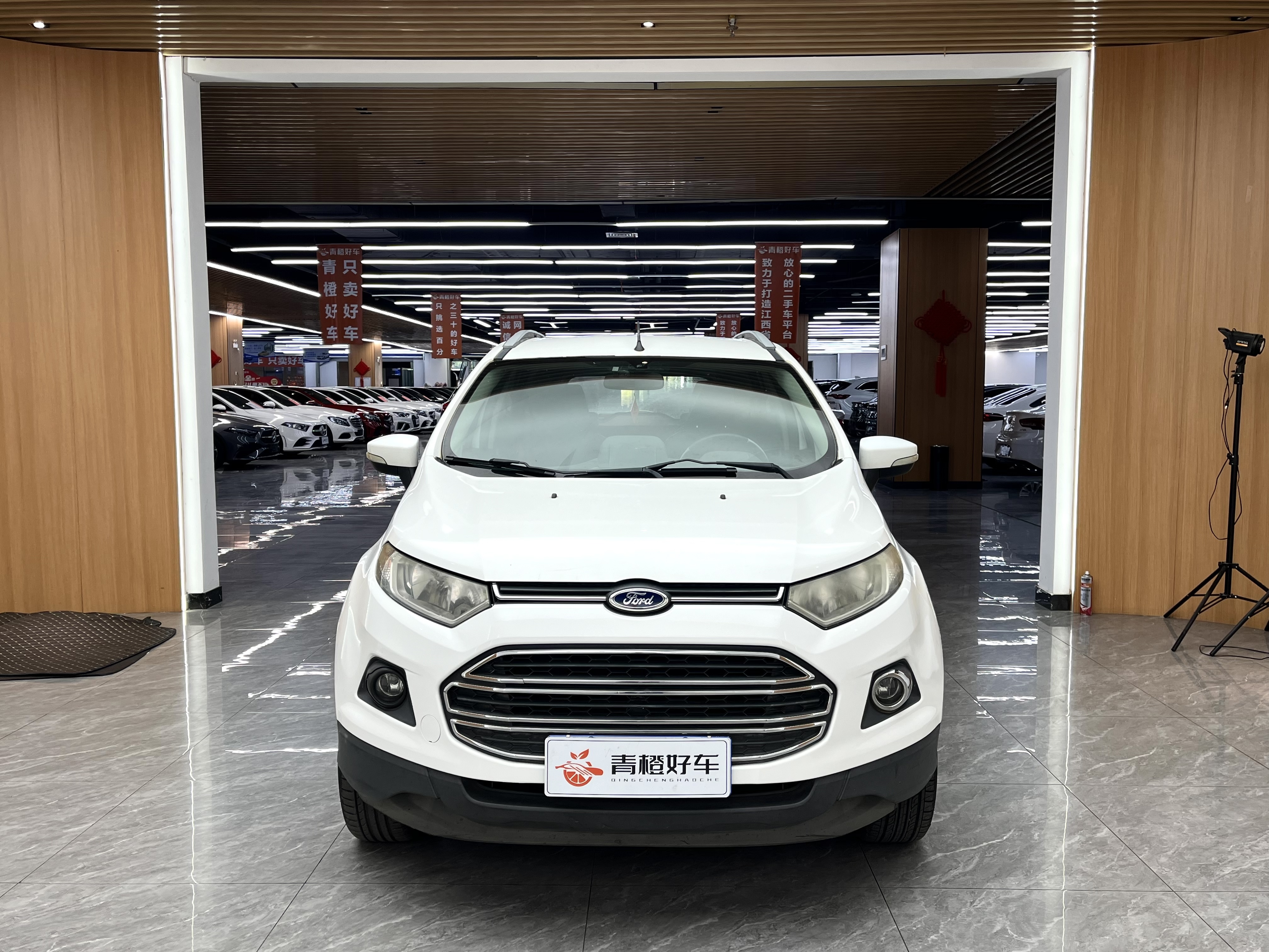 Ford EcoSport 2013 immagine di auto #6