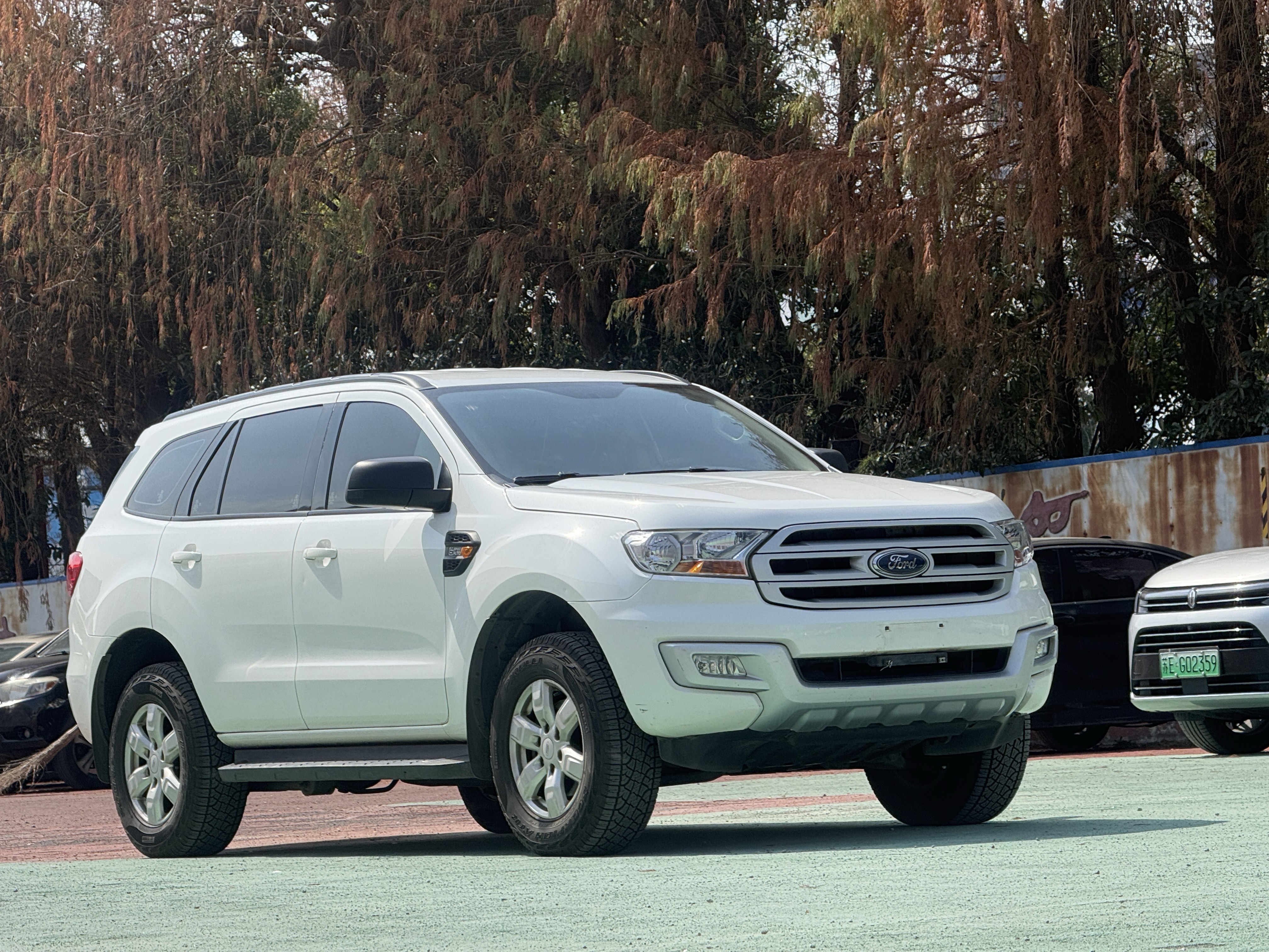 Ford Everest 2017 car image #6