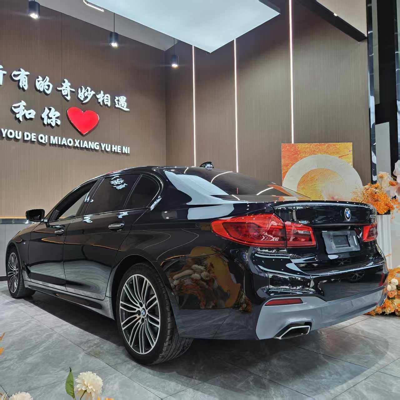 BMW 5 Series 2018 immagine di auto #6