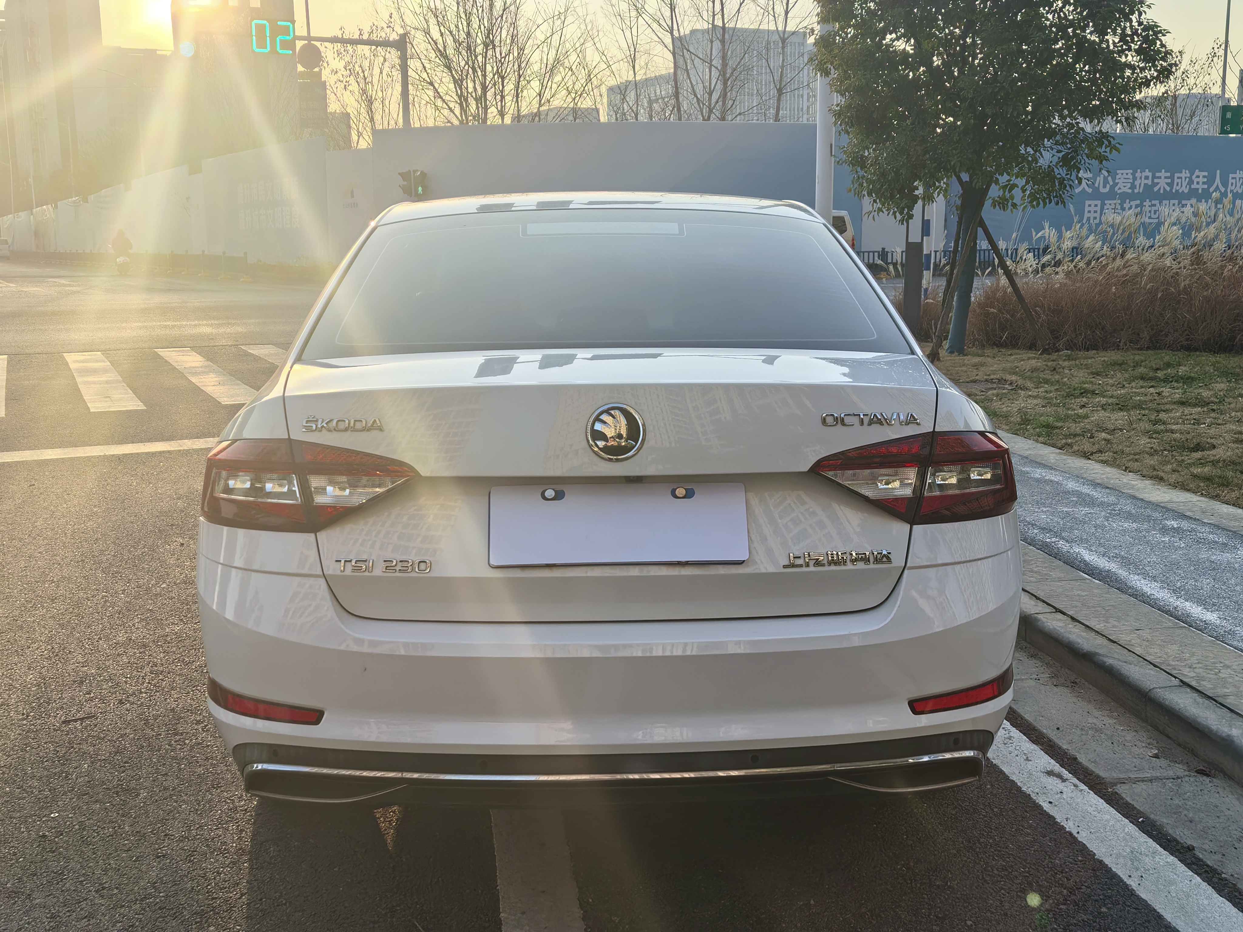 Skoda Octavia 2018 car image #6