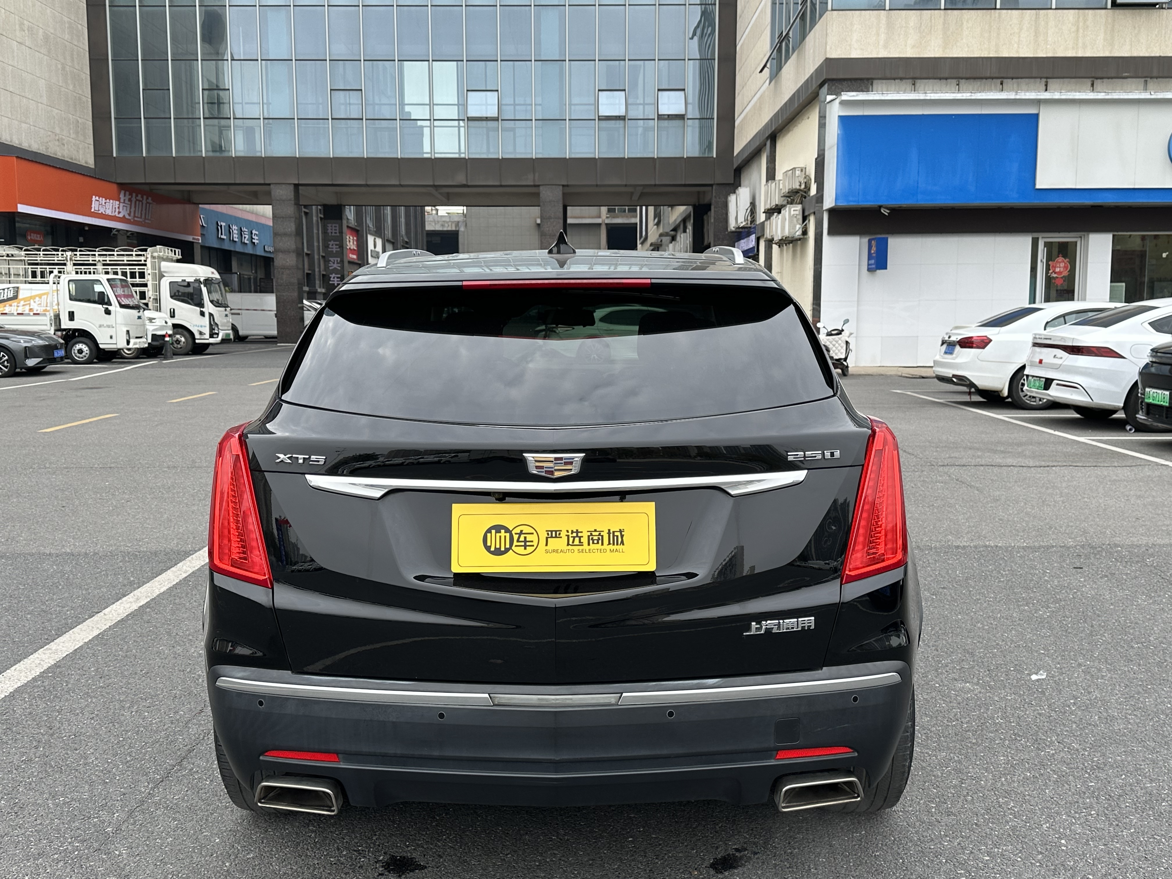 2019 #6 2019 car image #6
