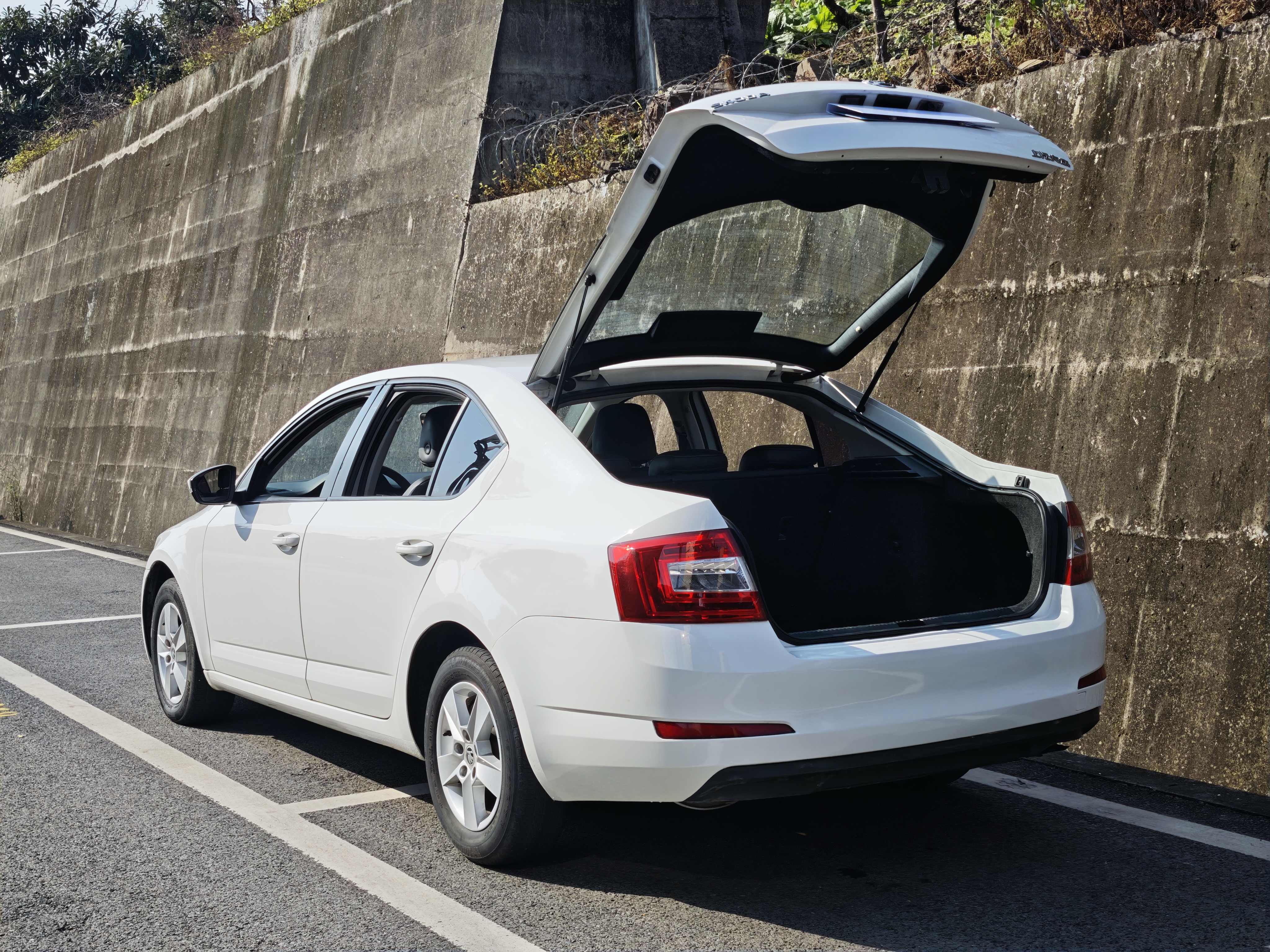 Skoda Octavia 2018 car image #6
