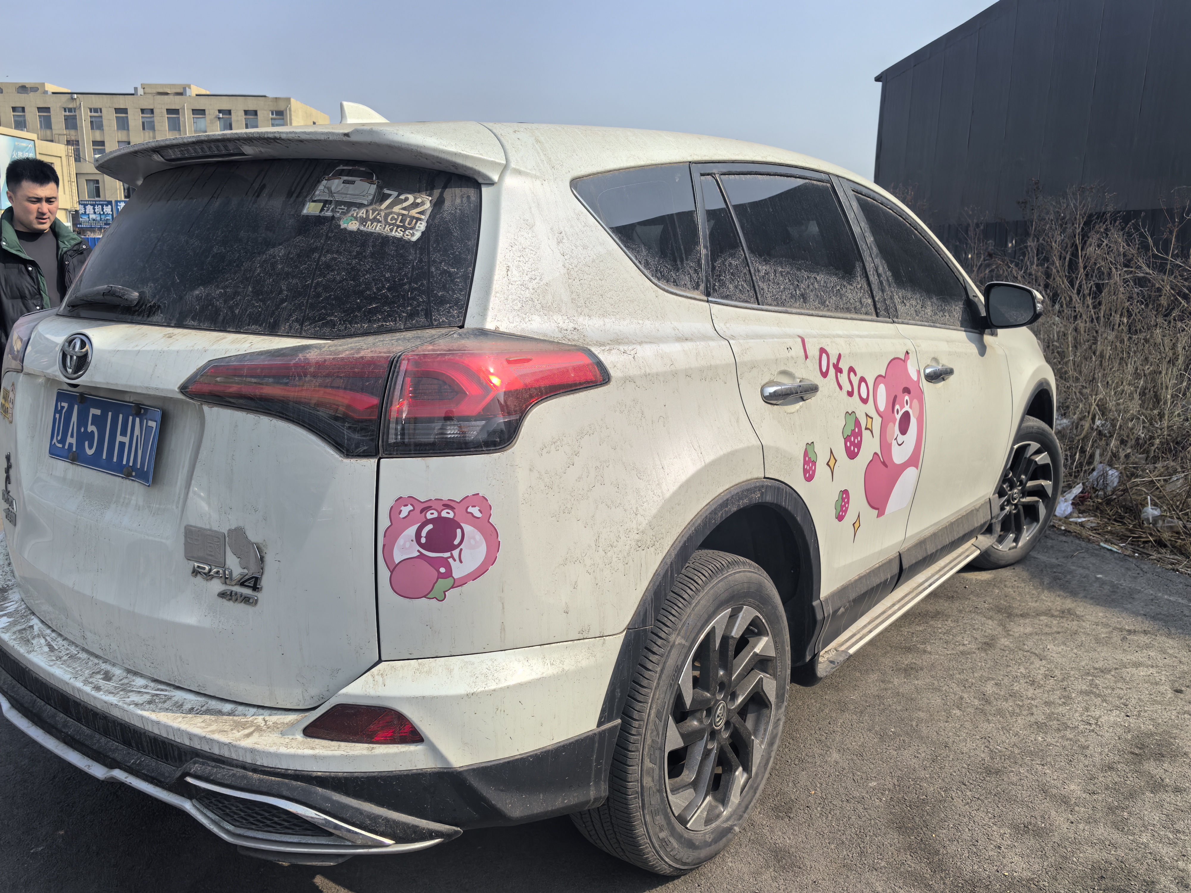 Toyota RAV4 2018 car image #6