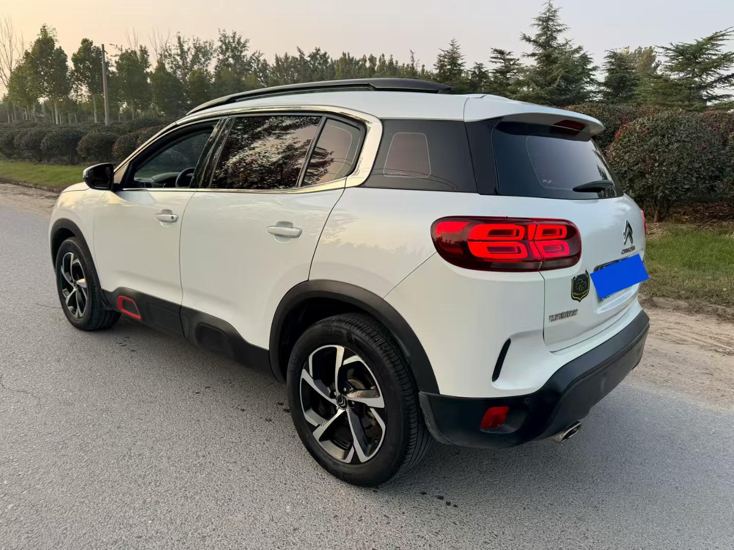 Citroen C5 AIRCROSS 2018 immagine di auto #6