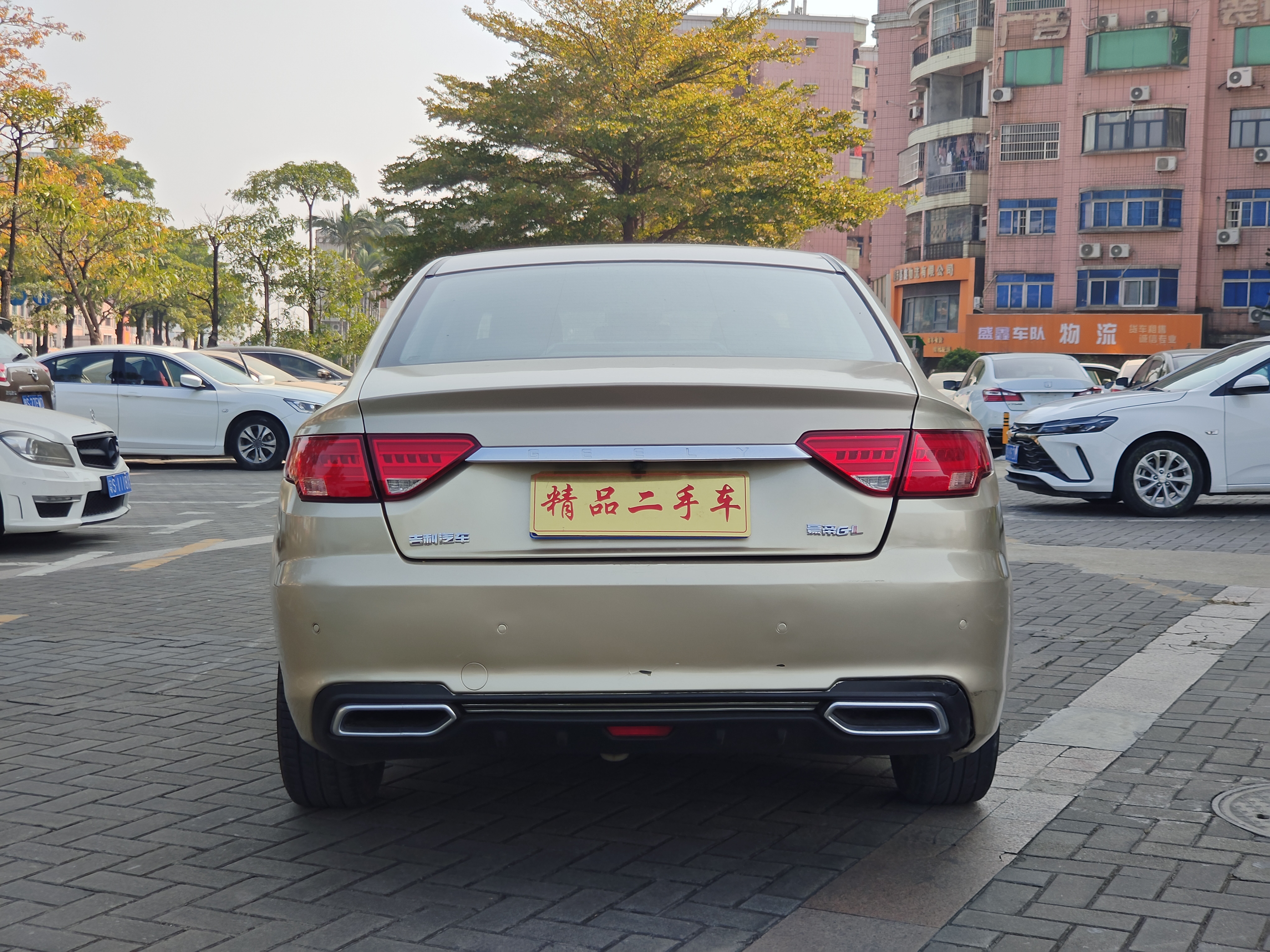 Emgrand GL 2018 #6 Emgrand GL 2018 car image #6