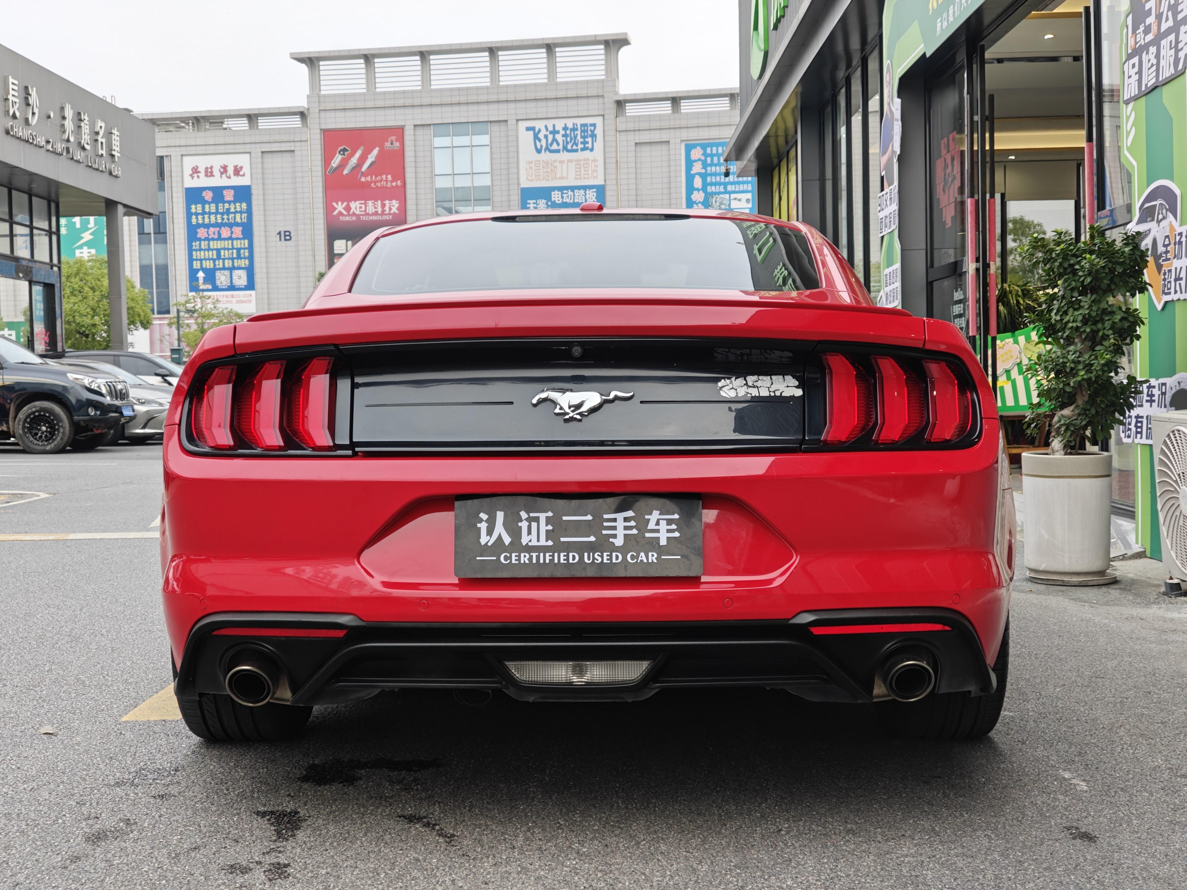 福特 Mustang 2019 汽车图片 #6