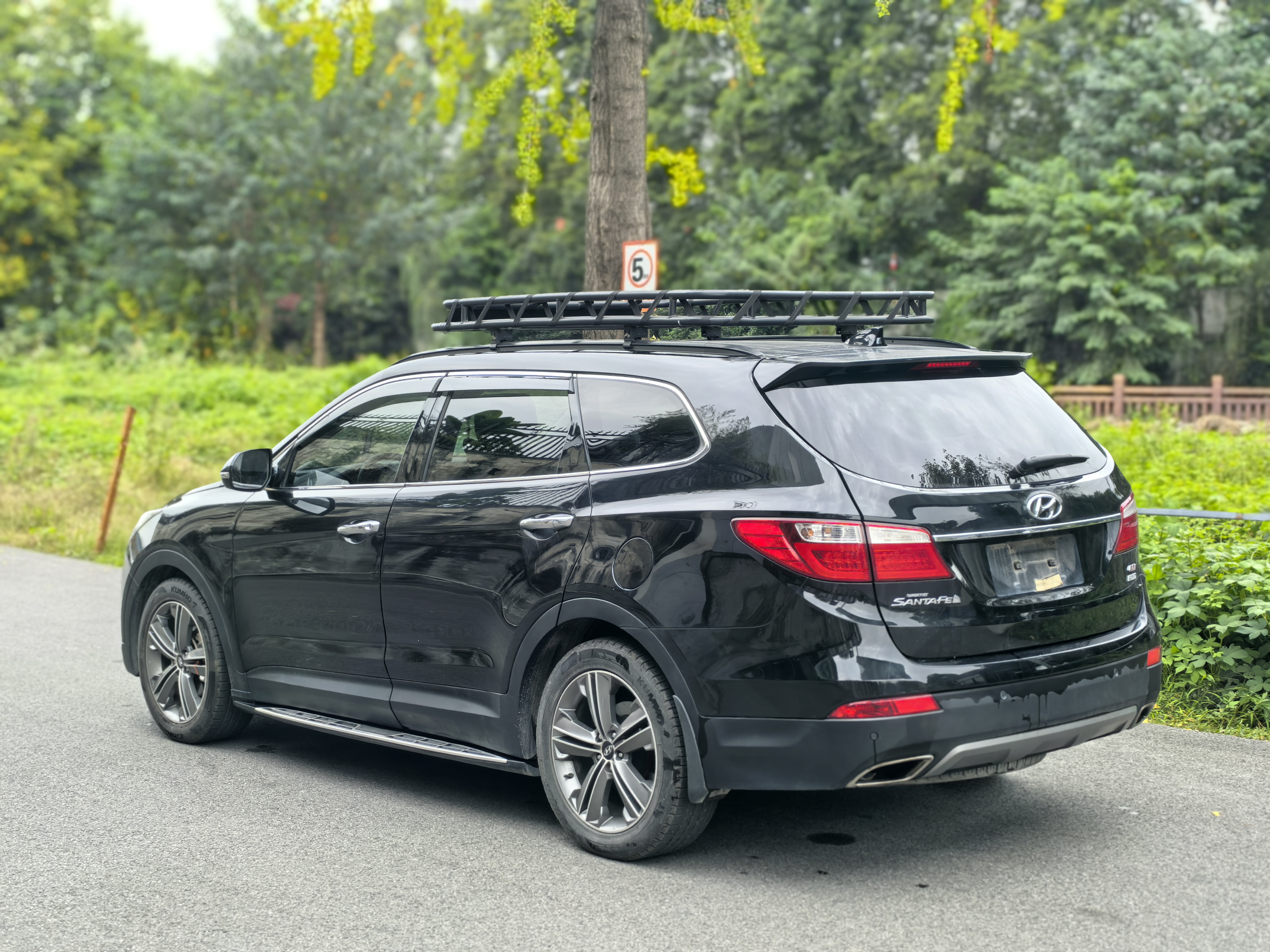 Hyundai Grand Santa Fe 2013 car image #6