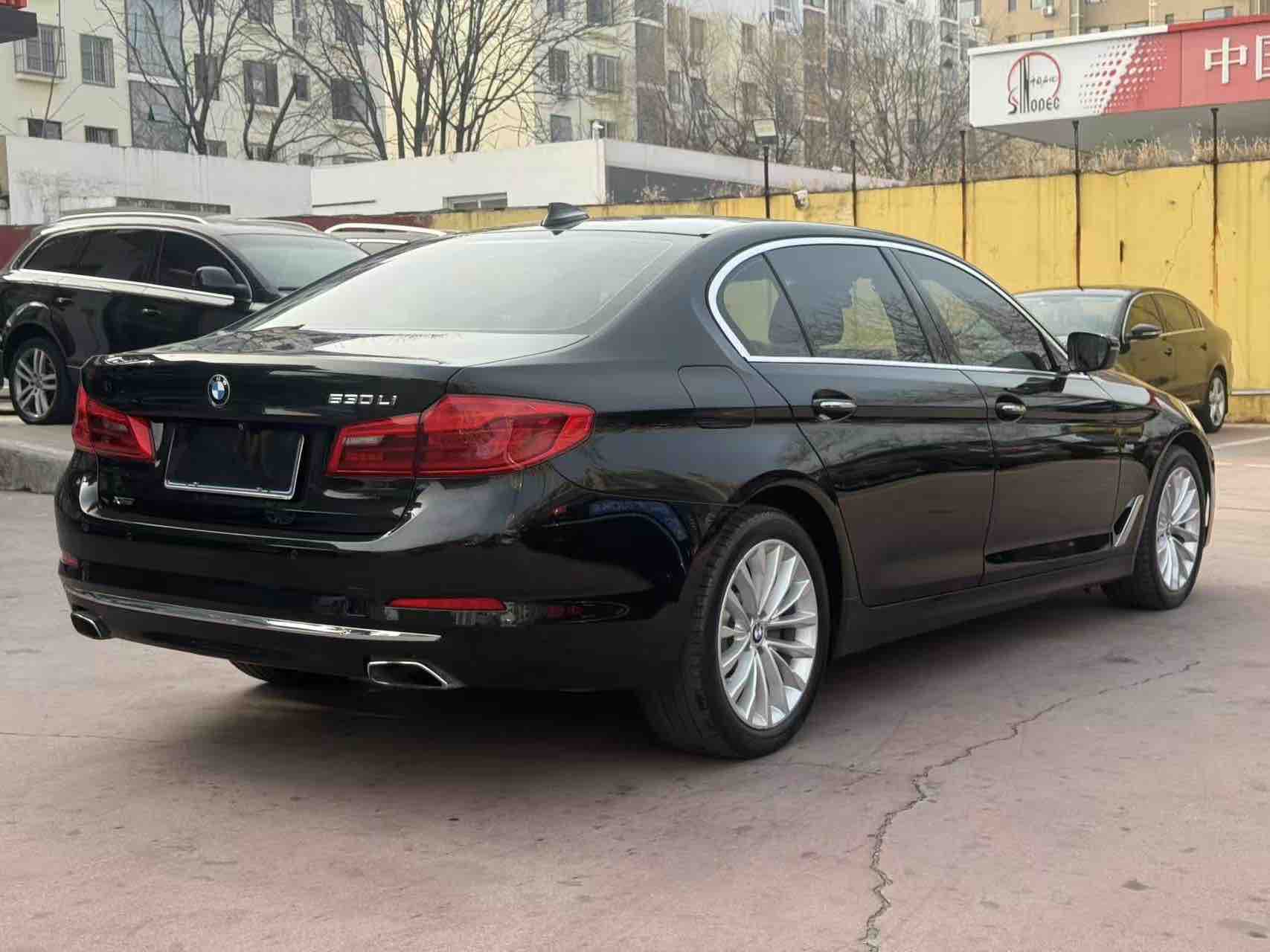BMW 5 Series 2018 car image #6