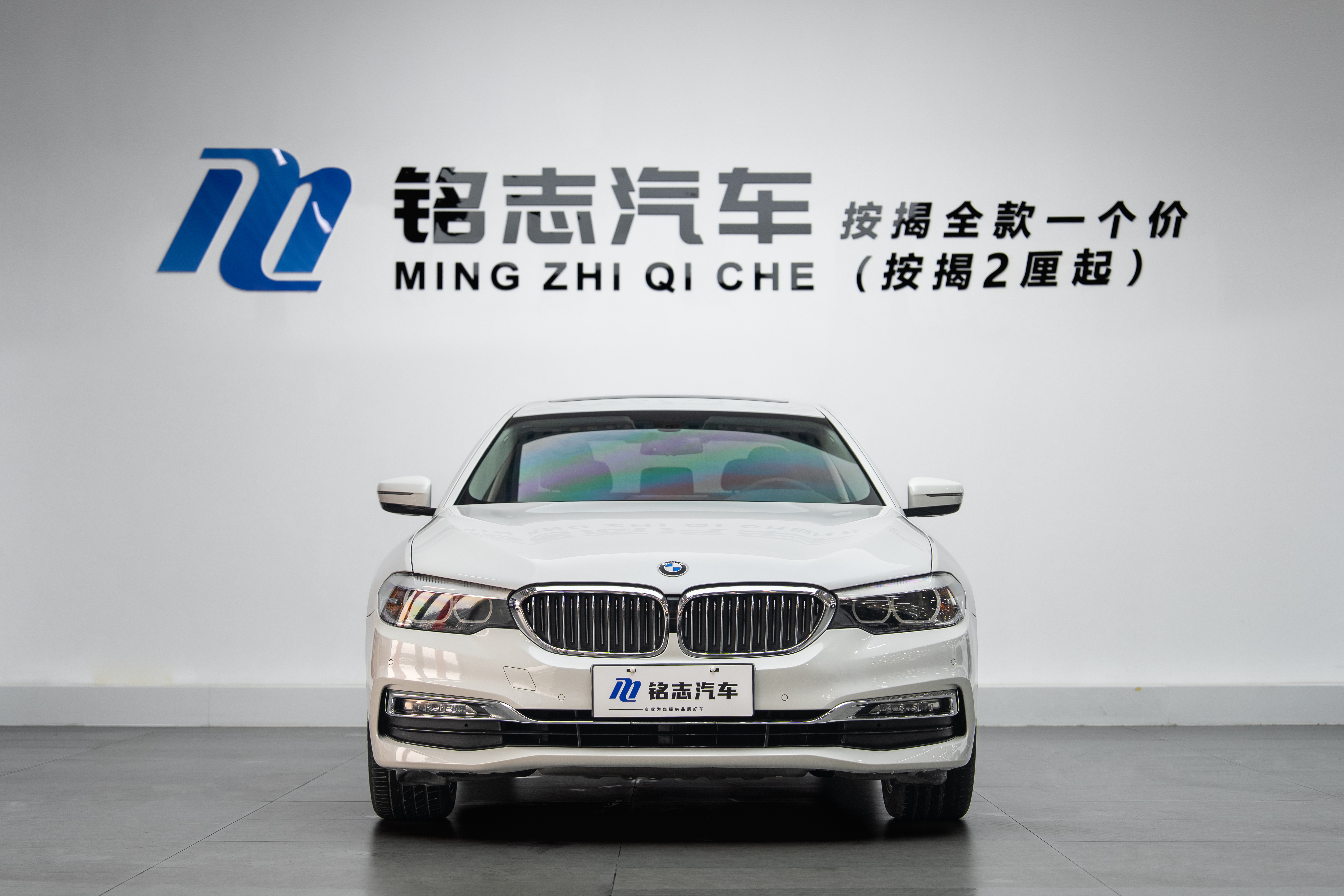 BMW 5 Series 2018 car image #6