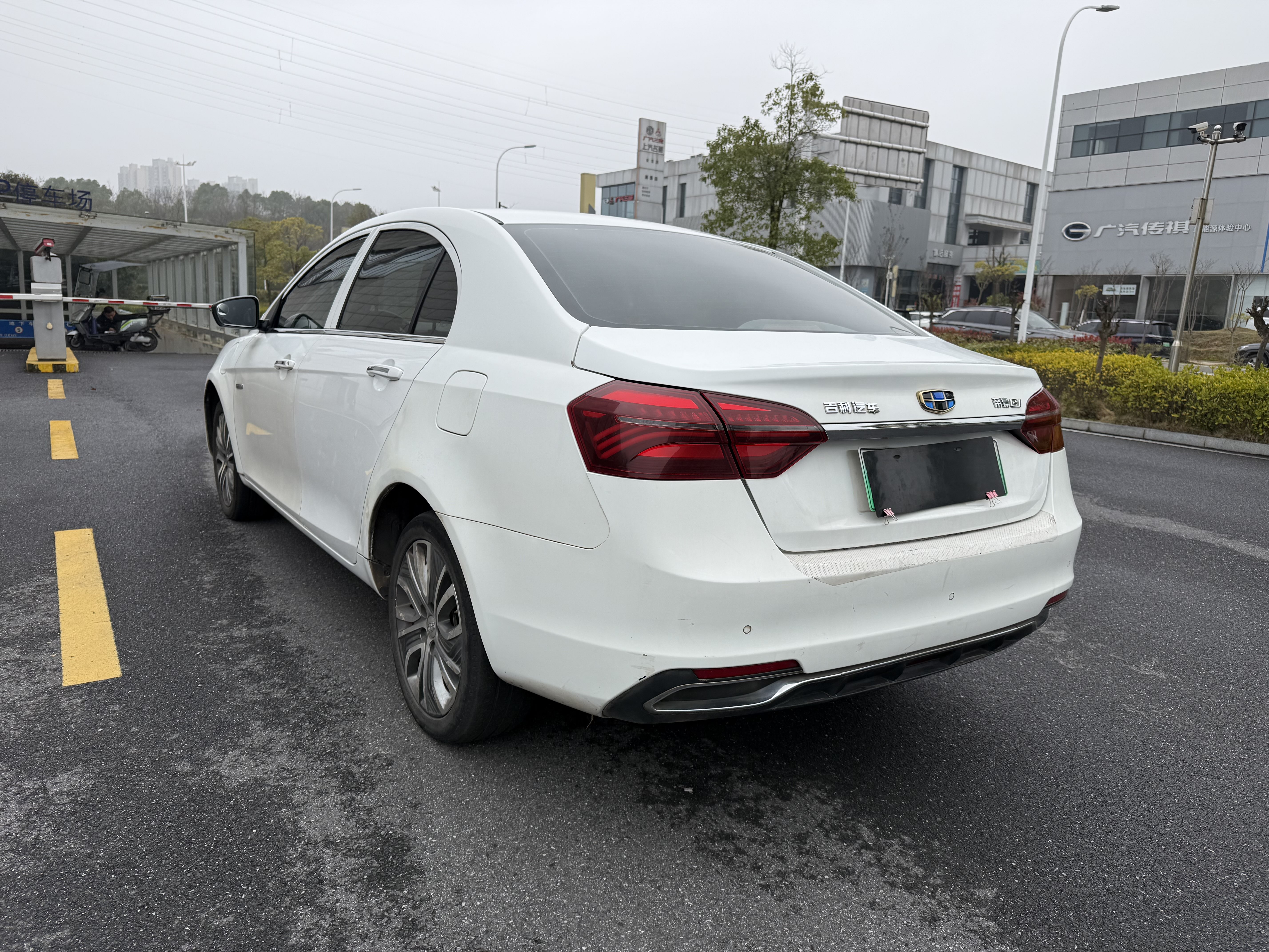Emgrand New Energy 2019 car image #6