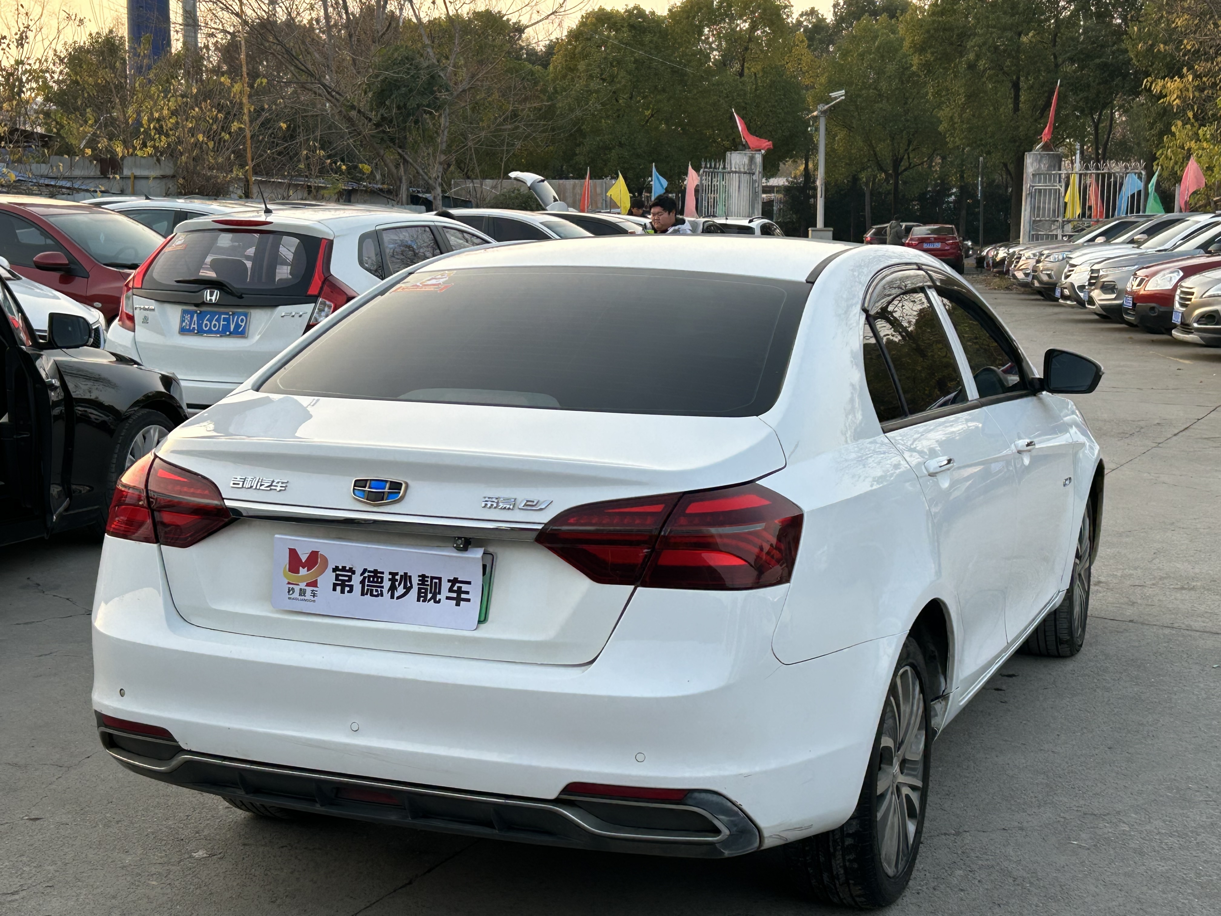 GEELY Emgrand New Energy 2019 car image #6