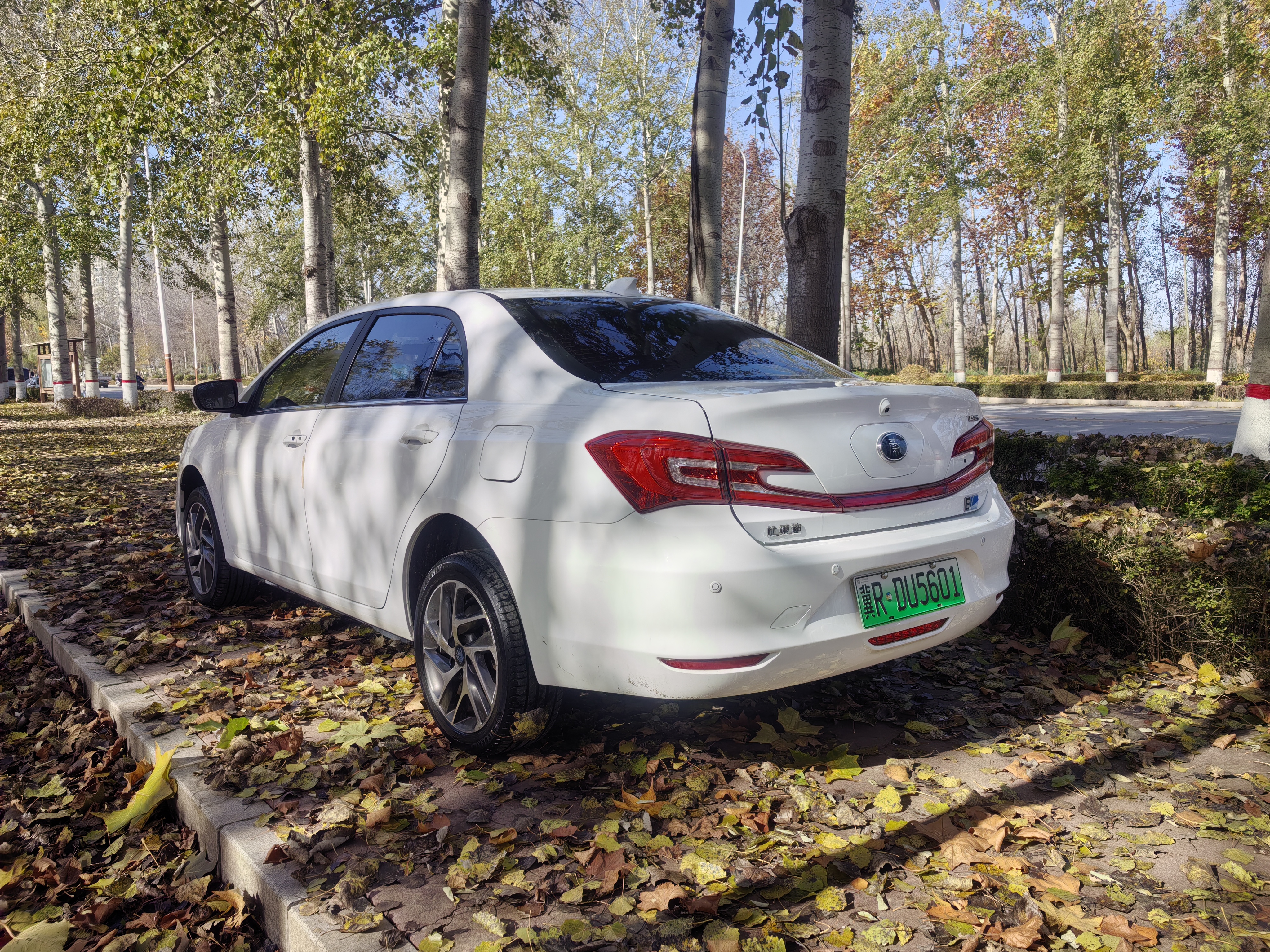BYD Qin New Energy 2018 car image #6