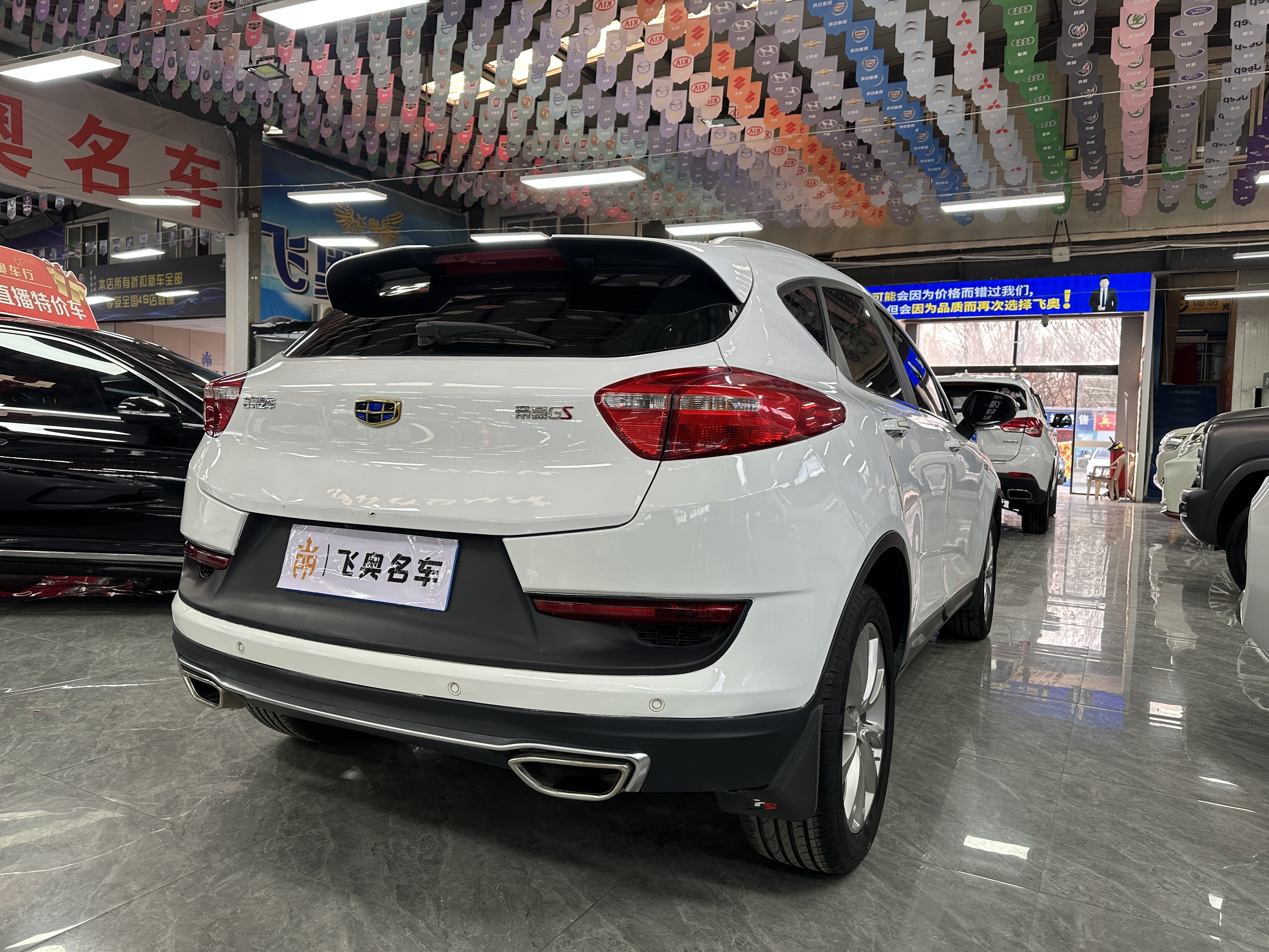 Emgrand GS 2018 #6 Emgrand GS 2018 car image #6