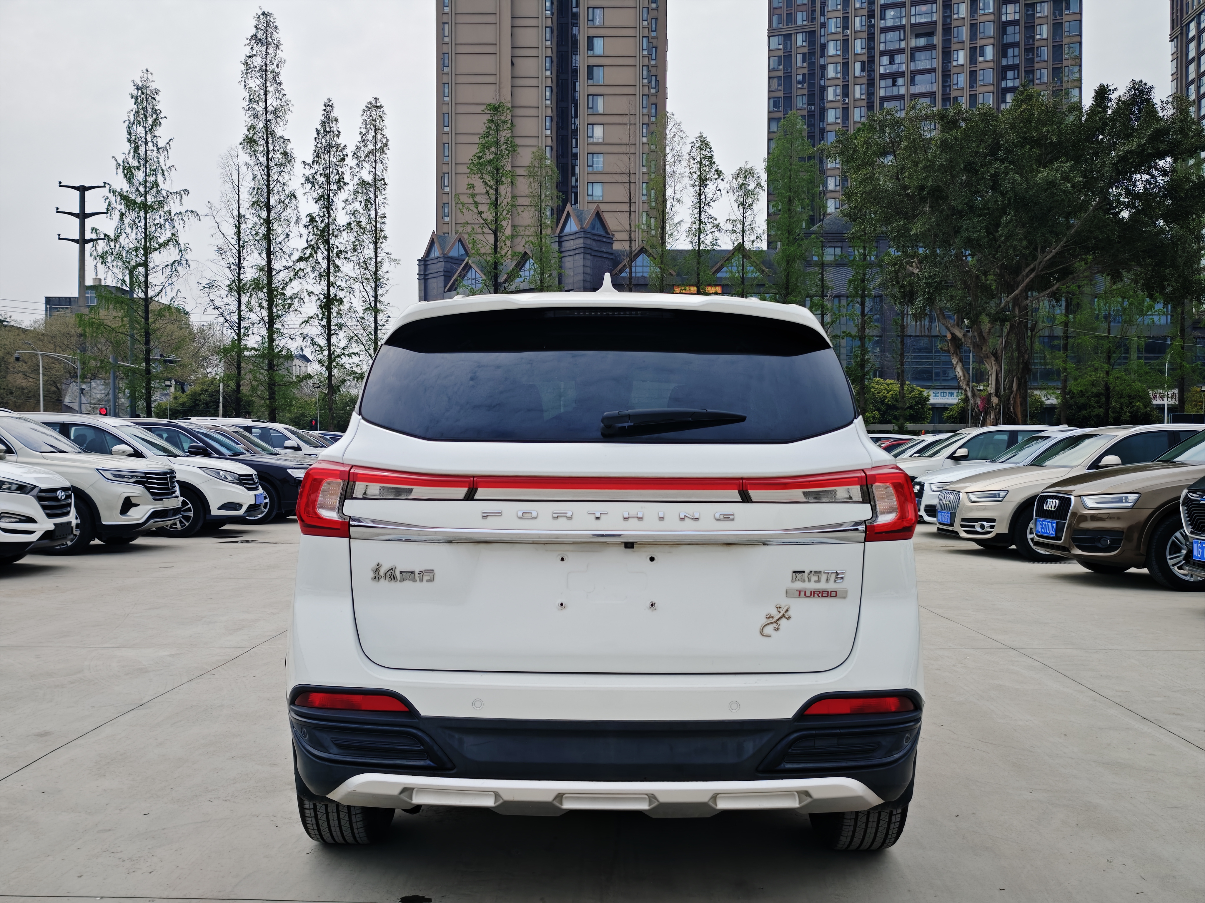 T5 2019 #6 T5 2019 car image #6