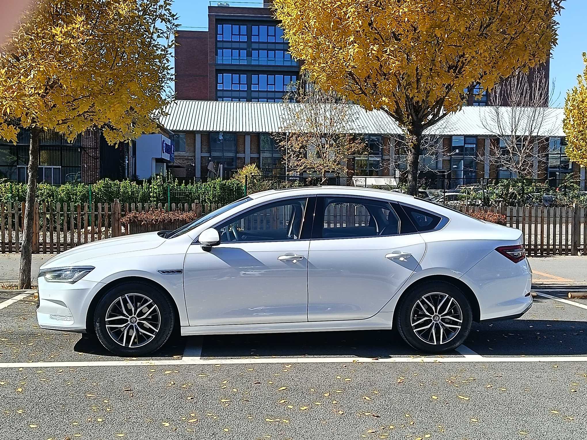 BYD Qin Pro New Energy 2020 car image #6