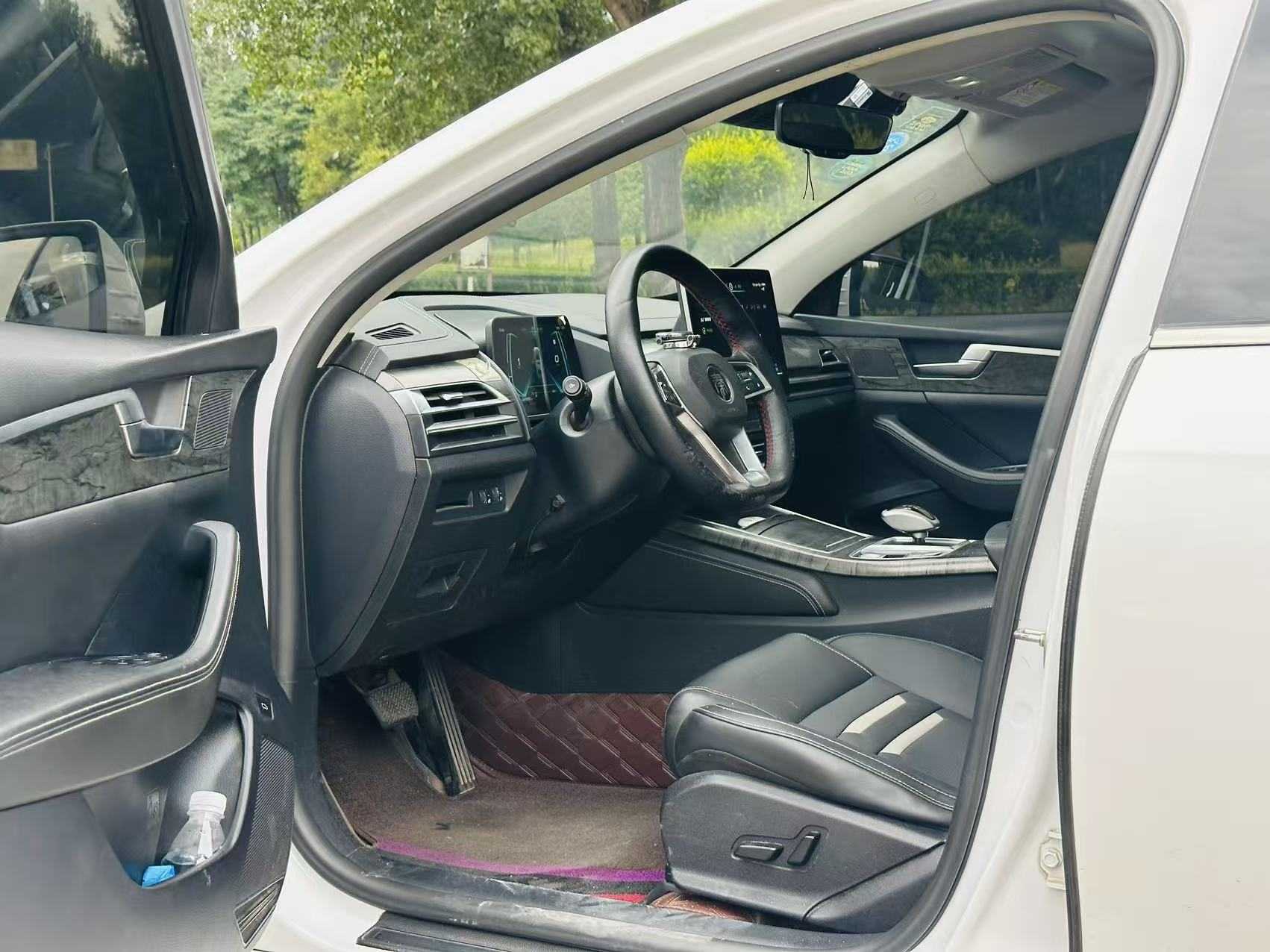 BYD Qin Pro New Energy 2019 car image #6