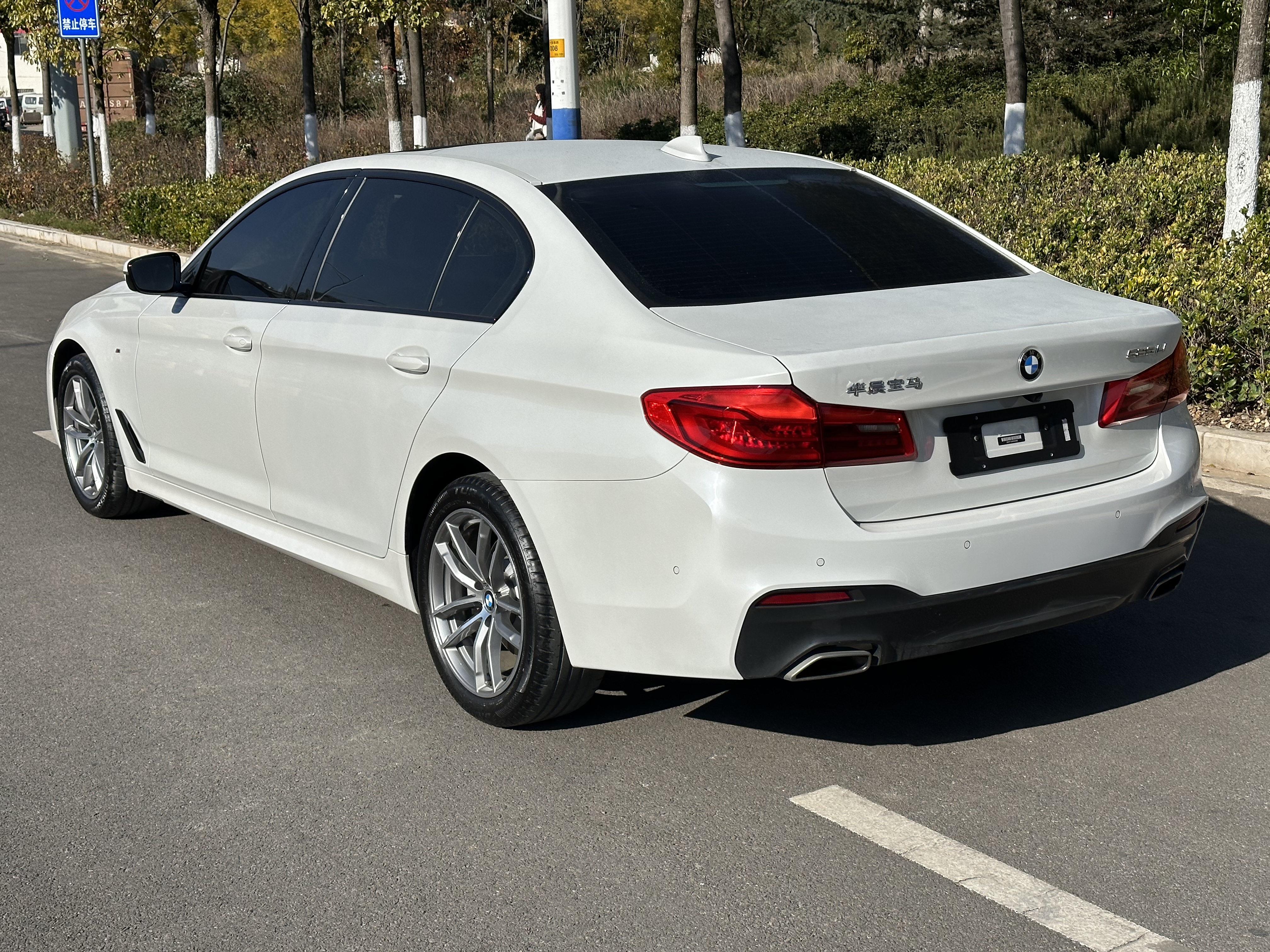 BMW 5 Series 2019 car image #6
